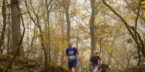 Runforestrun Holtingerveld